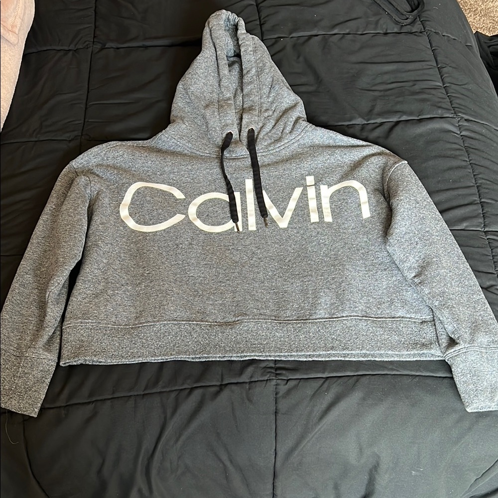 Calvin Gray Hoodie